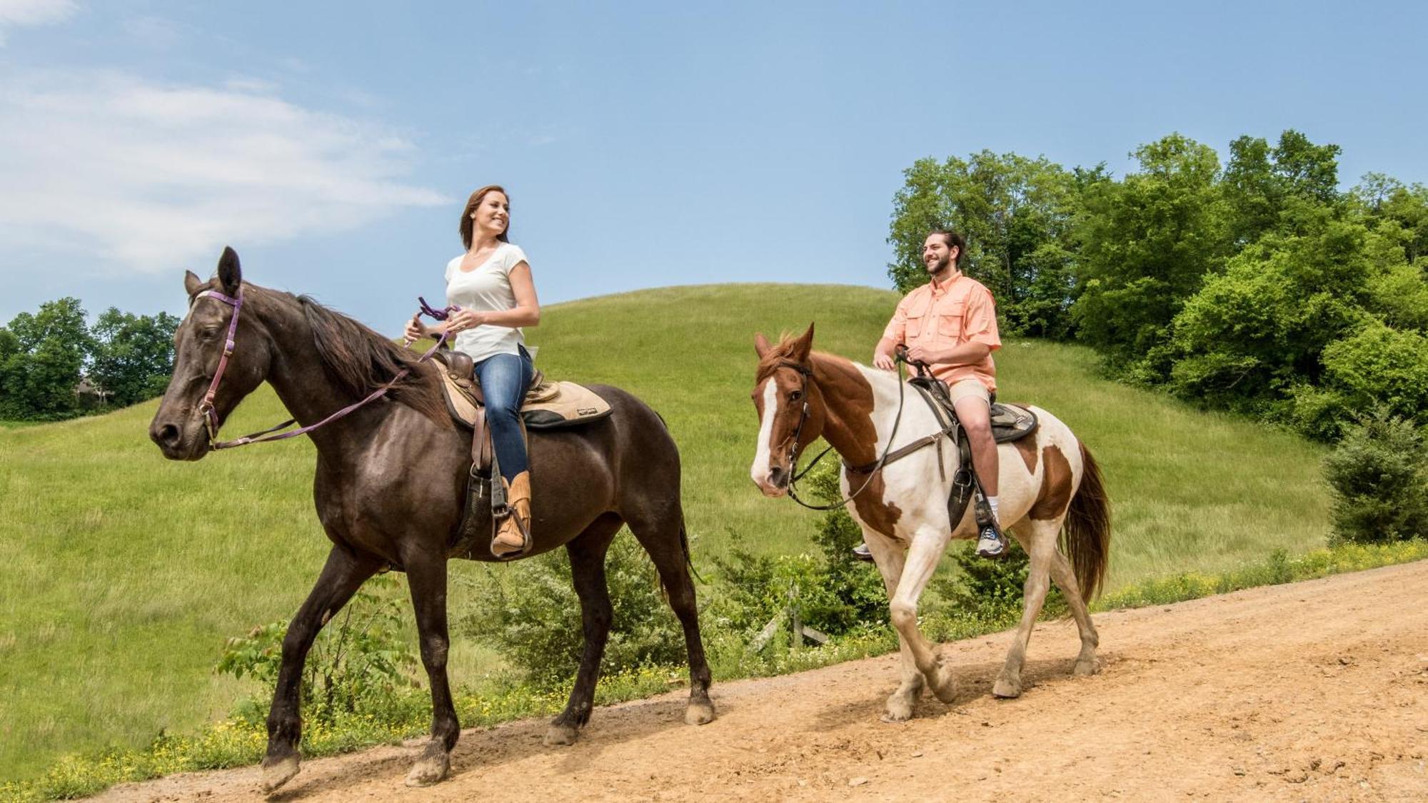 Vila A Walk In The Clouds By Eden Crest Sevierville Exteriér fotografie